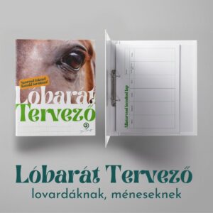 Lóbarát Tervező ha LOVAD OTTHON TARTOD, BÉRTARTÁST VÁLLALSZ, MÉNESED/LOVAS ISKOLÁD VAN