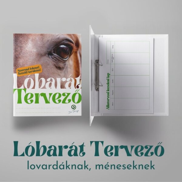 Lóbarát Tervező ha LOVAD OTTHON TARTOD, BÉRTARTÁST VÁLLALSZ, MÉNESED/LOVAS ISKOLÁD VAN