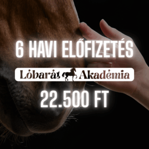 6 Havi Lóbarát Akadémia Tagság