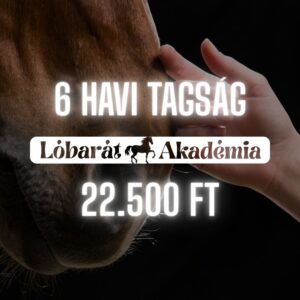 6 Havi Lóbarát Akadémia Tagság
